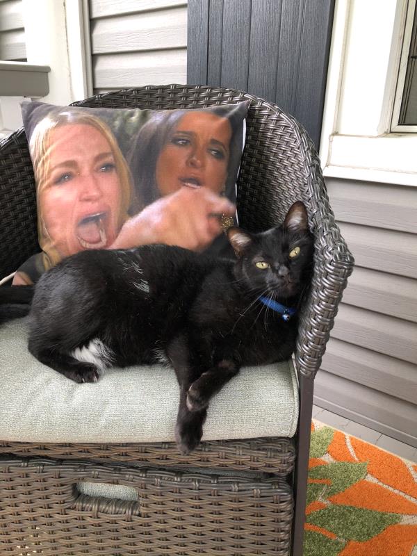 /Images/uploads/Mid County Chamber of Commerce/pet-mayor-2022/entries/24714thumb.jpg